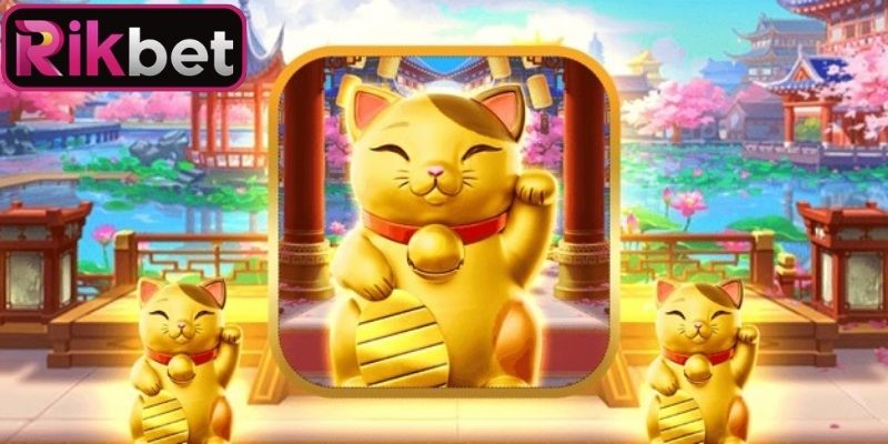 Mèo chiêu tài Rikbet có chủ đề hấp dẫn