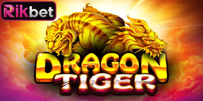 Quy trình phân định thắng thua rồng hổ live Rikbet
